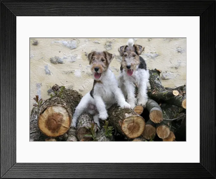 Framed Print : Picture No. 11013900 Framed Print : Picture No. 11013900