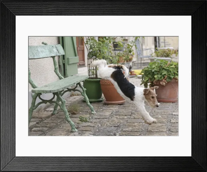 Framed Print : Picture No. 11013906 Framed Print : Picture No. 11013906