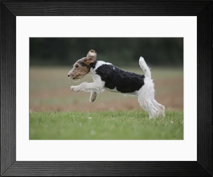 Framed Print : Picture No. 11013925 Framed Print : Picture No. 11013925