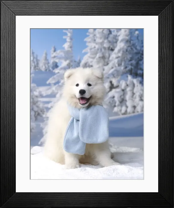 Framed Print : Picture No. 11013951 Framed Print : Picture No. 11013951