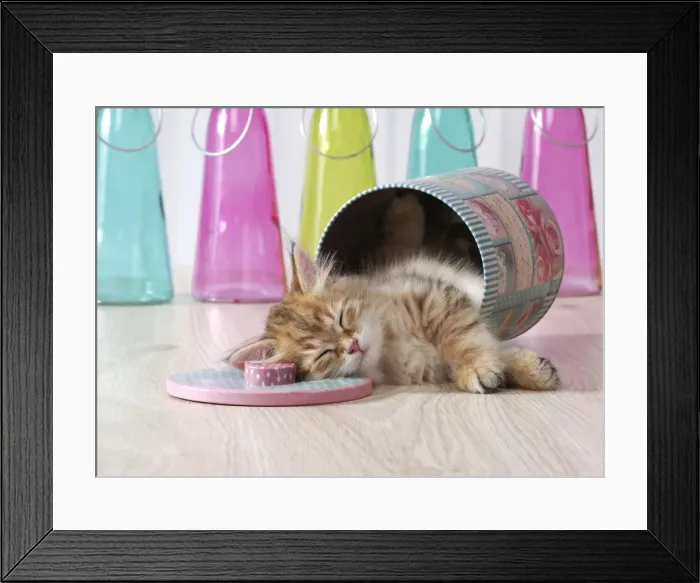 Framed Print : Picture No. 11013964 Framed Print : Picture No. 11013964