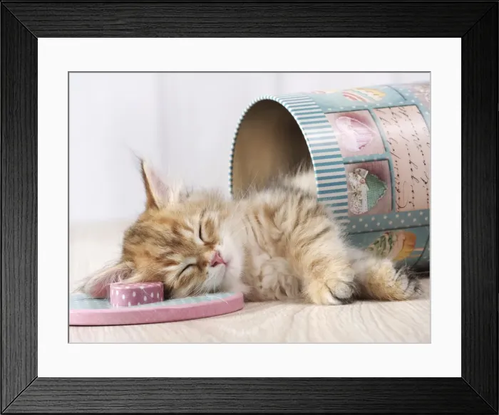 Framed Print : Picture No. 11013966 Framed Print : Picture No. 11013966