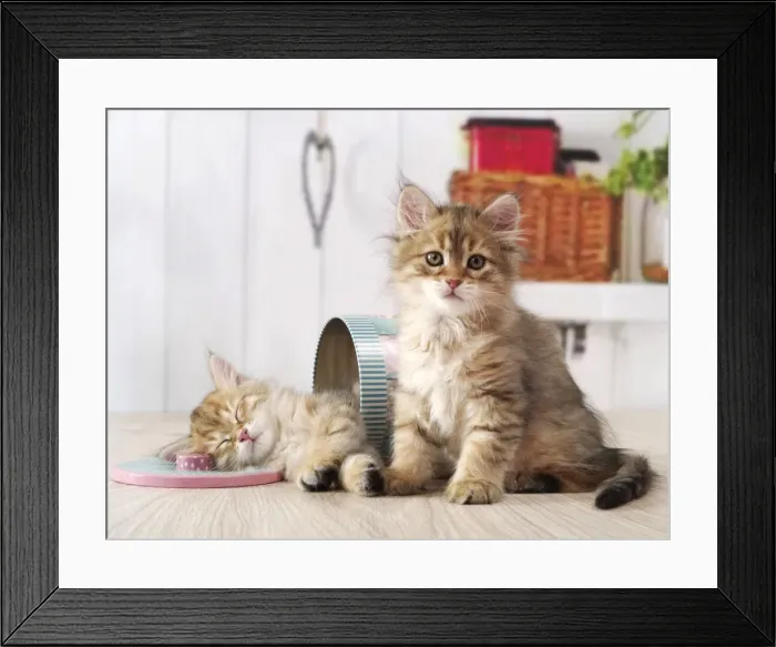 Framed Print : Picture No. 11013967 Framed Print : Picture No. 11013967