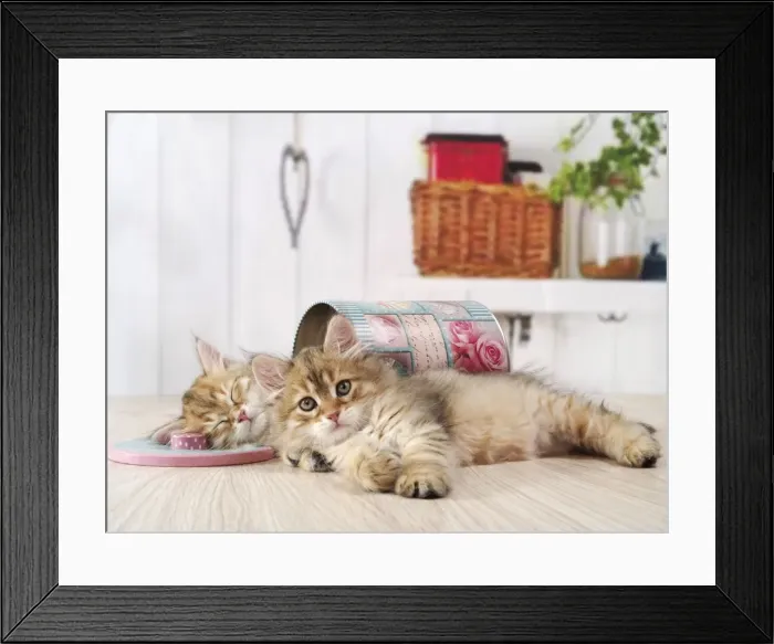 Framed Print : Picture No. 11013968 Framed Print : Picture No. 11013968