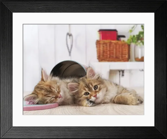 Framed Print : Picture No. 11013970