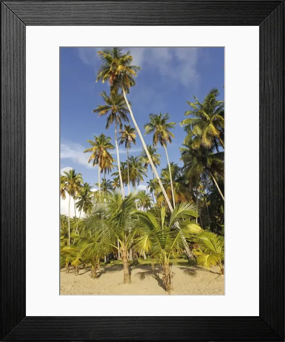 Framed Print : Picture No. 11014154 Framed Print : Picture No. 11014154