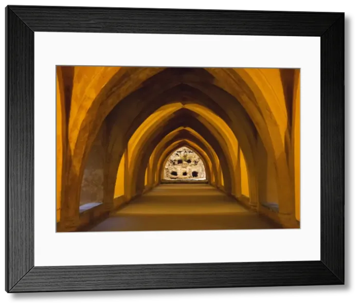 Framed Print : Picture No. 11014351 Framed Print : Picture No. 11014351