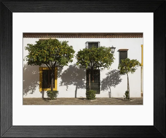 Framed Print : Picture No. 11014355 Framed Print : Picture No. 11014355