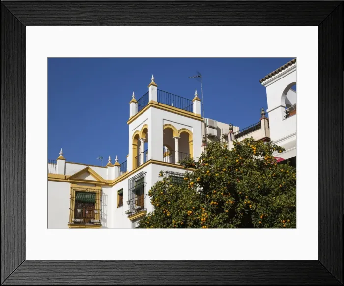Framed Print : Picture No. 11014357 Framed Print : Picture No. 11014357