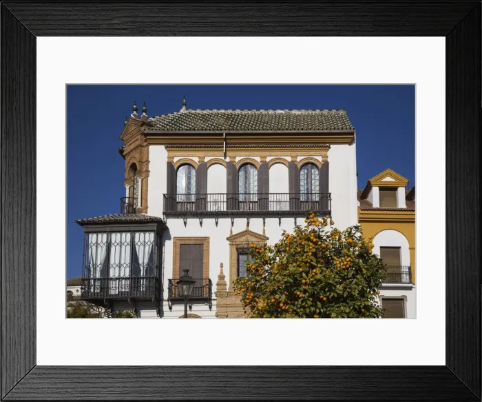 Framed Print : Picture No. 11014359 Framed Print : Picture No. 11014359