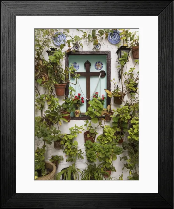 Framed Print : Picture No. 11014387 Framed Print : Picture No. 11014387