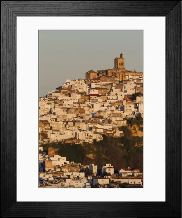 Framed Print : Picture No. 11014390 Framed Print : Picture No. 11014390