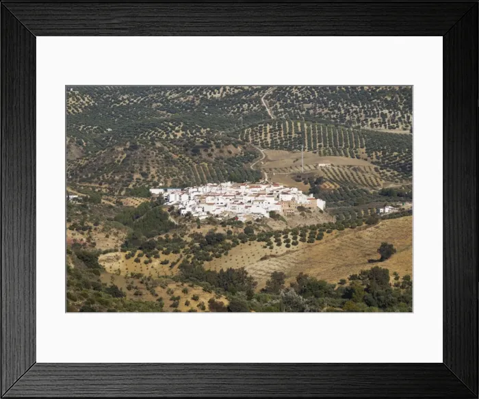 Framed Print : Picture No. 11014396 Framed Print : Picture No. 11014396