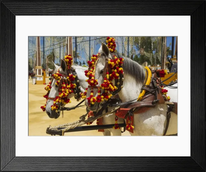 Framed Print : Picture No. 11014408 Framed Print : Picture No. 11014408