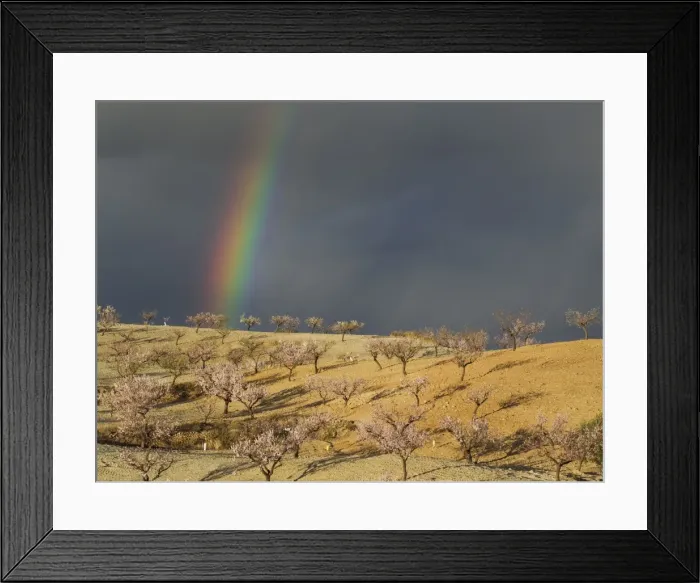 Framed Print : Picture No. 11014414 Framed Print : Picture No. 11014414