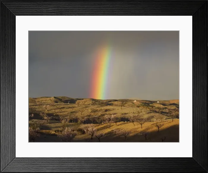 Framed Print : Picture No. 11014415