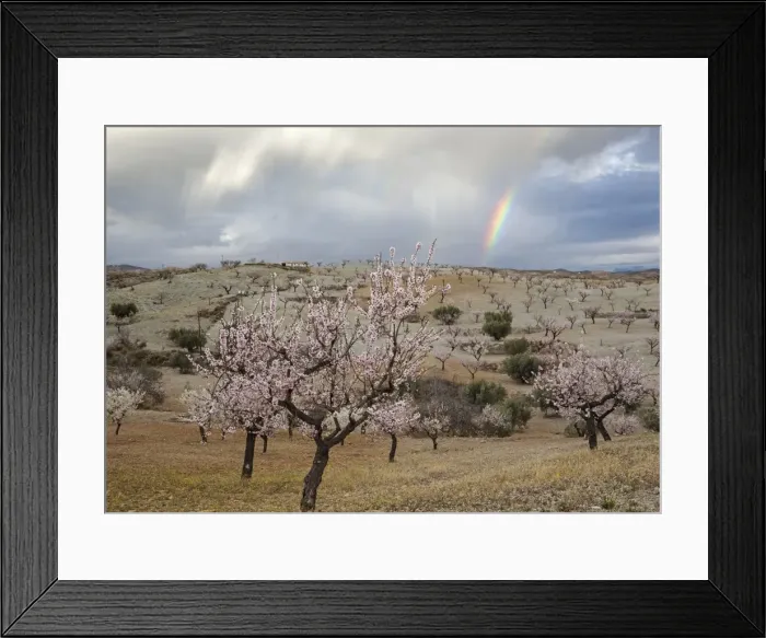 Framed Print : Picture No. 11014416 Framed Print : Picture No. 11014416