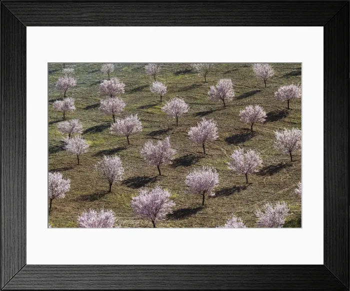 Framed Print : Picture No. 11014422 Framed Print : Picture No. 11014422