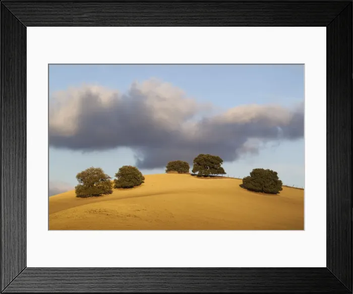 Framed Print : Picture No. 11014427 Framed Print : Picture No. 11014427