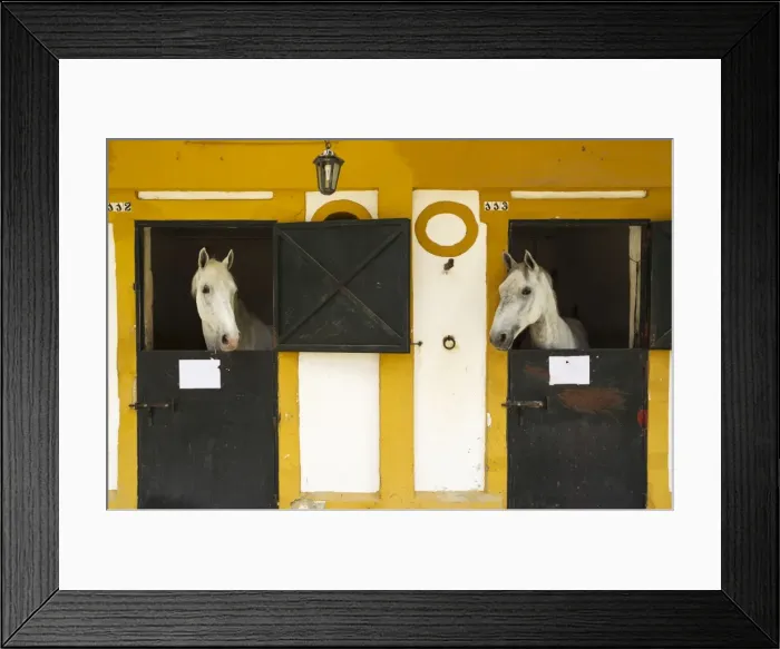 Framed Print : Picture No. 11014431 Framed Print : Picture No. 11014431