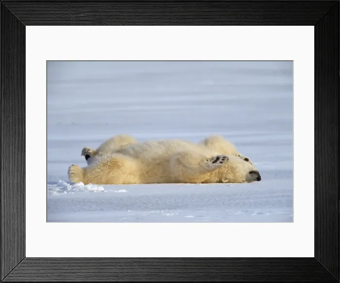 Framed Print : Picture No. 11013712 Framed Print : Picture No. 11013712
