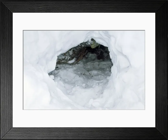 Framed Print : Picture No. 11013715 Framed Print : Picture No. 11013715