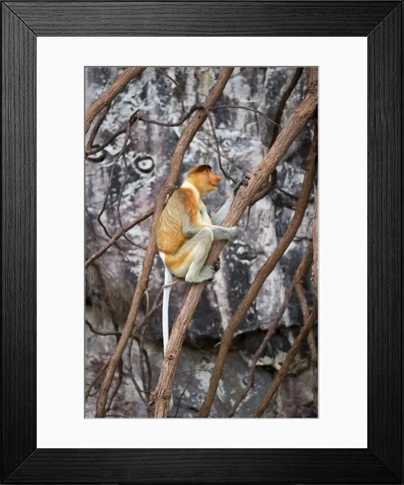 Framed Print : Picture No. 11014459 Framed Print : Picture No. 11014459