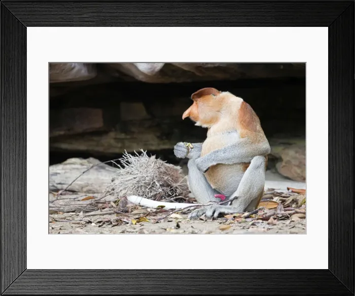 Framed Print : Picture No. 11014460 Framed Print : Picture No. 11014460