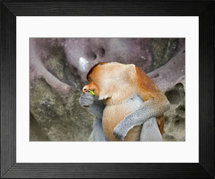 Framed Print : Picture No. 11014461 Framed Print : Picture No. 11014461