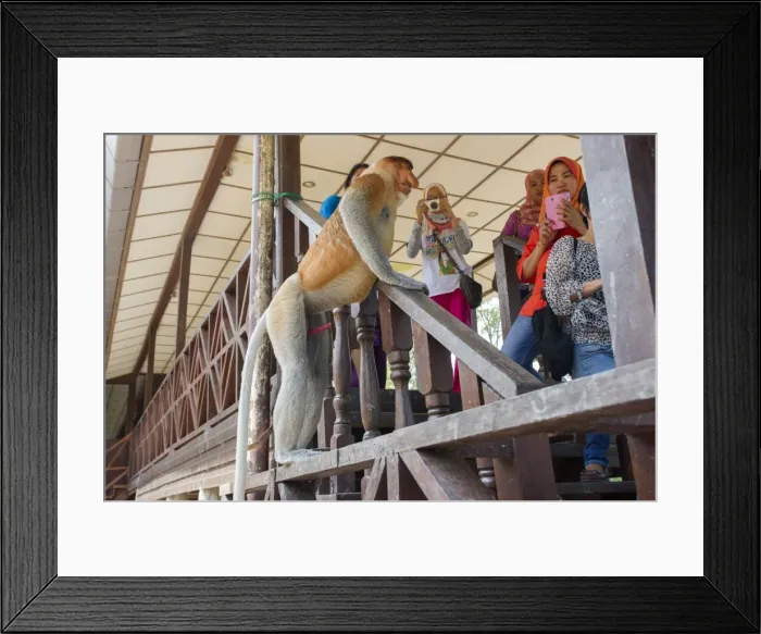 Framed Print : Picture No. 11014472 Framed Print : Picture No. 11014472