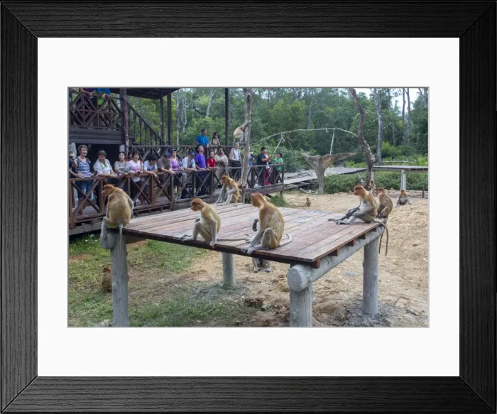 Framed Print : Picture No. 11014473 Framed Print : Picture No. 11014473