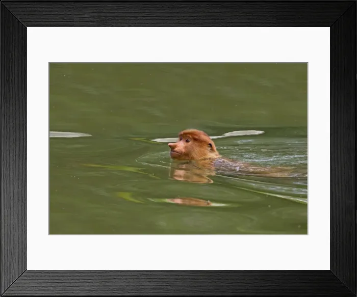 Framed Print : Picture No. 11014486 Framed Print : Picture No. 11014486