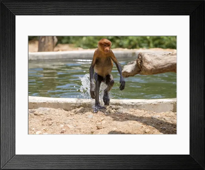 Framed Print : Picture No. 11014515 Framed Print : Picture No. 11014515