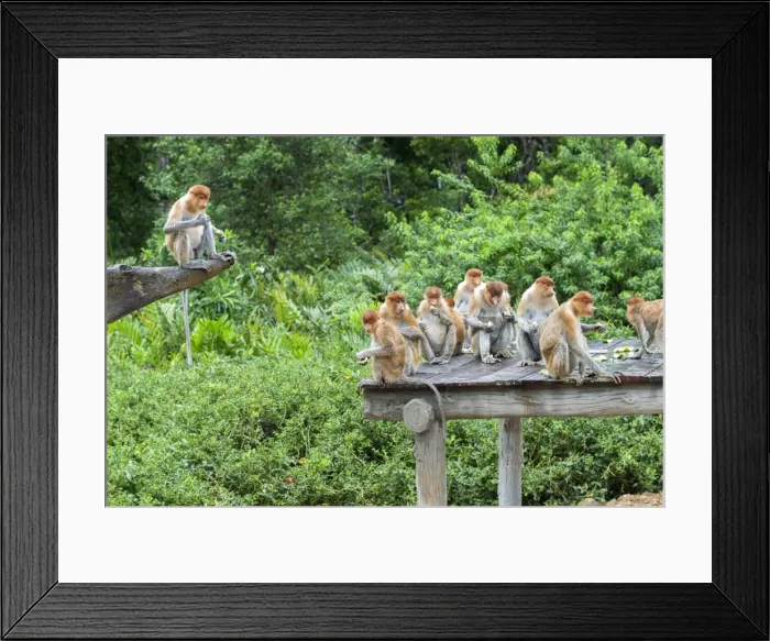 Framed Print : Picture No. 11014519 Framed Print : Picture No. 11014519