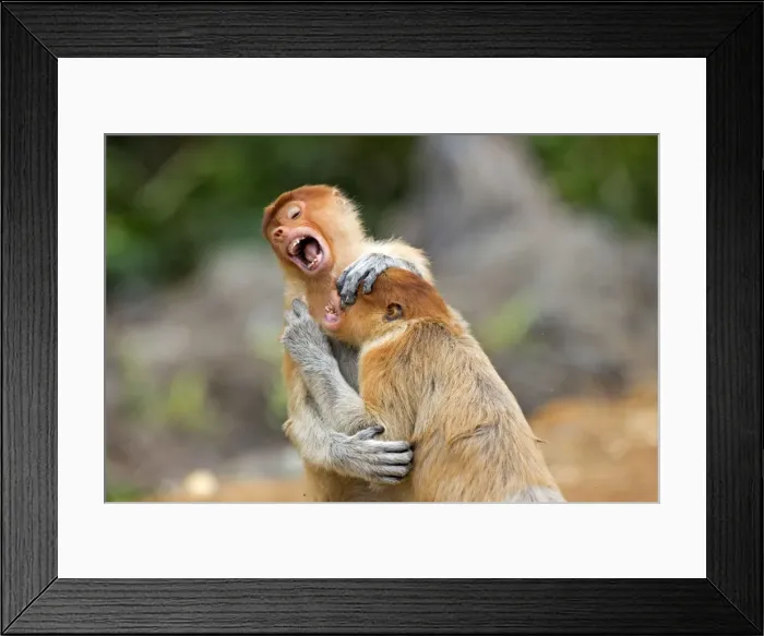 Framed Print : Picture No. 11014522 Framed Print : Picture No. 11014522