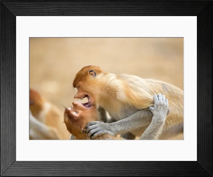 Framed Print : Picture No. 11014525 Framed Print : Picture No. 11014525