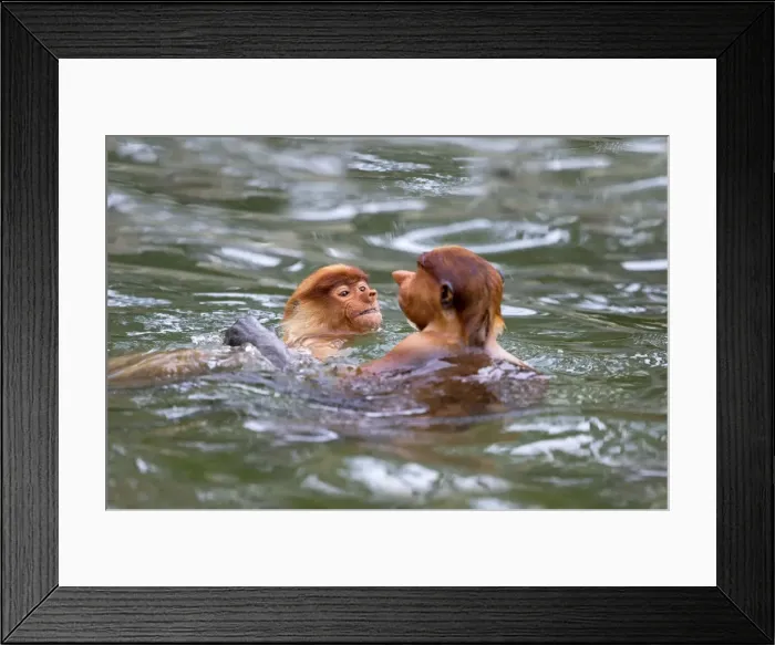 Framed Print : Picture No. 11014528 Framed Print : Picture No. 11014528