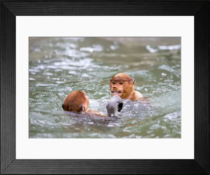 Framed Print : Picture No. 11014530 Framed Print : Picture No. 11014530