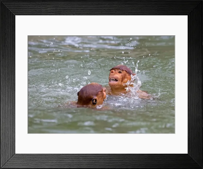 Framed Print : Picture No. 11014531 Framed Print : Picture No. 11014531