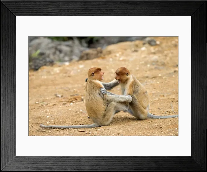 Framed Print : Picture No. 11014544 Framed Print : Picture No. 11014544