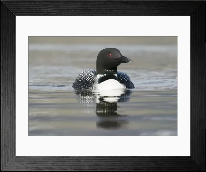 Framed Print : Picture No. 11014640 Framed Print : Picture No. 11014640