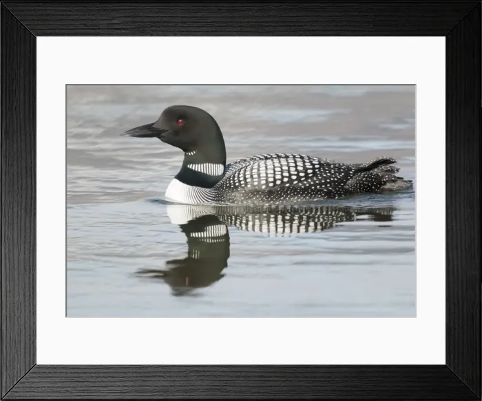 Framed Print : Picture No. 11014641 Framed Print : Picture No. 11014641