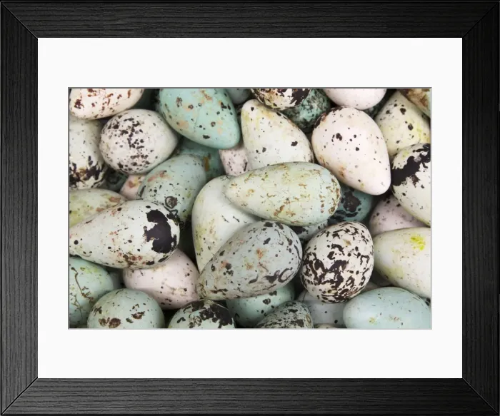 Framed Print : Picture No. 11014665 Framed Print : Picture No. 11014665