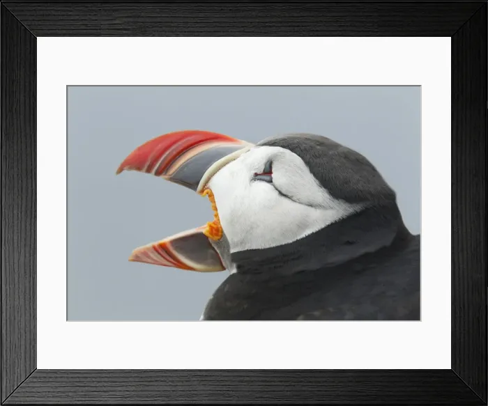 Framed Print : Picture No. 11014671 Framed Print : Picture No. 11014671
