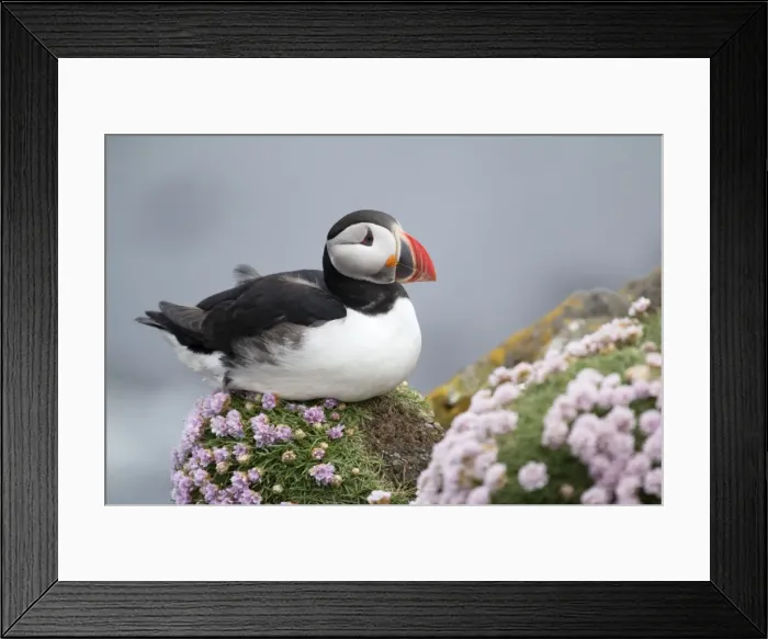 Framed Print : Picture No. 11014674 Framed Print : Picture No. 11014674