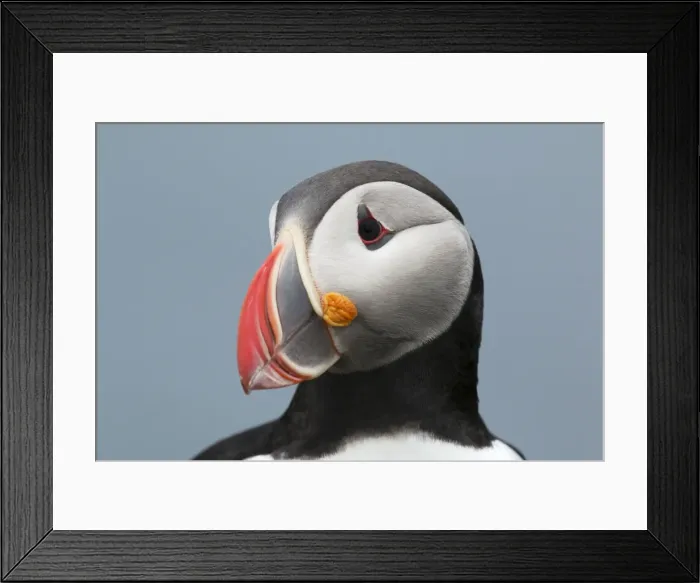 Framed Print : Picture No. 11014673 Framed Print : Picture No. 11014673