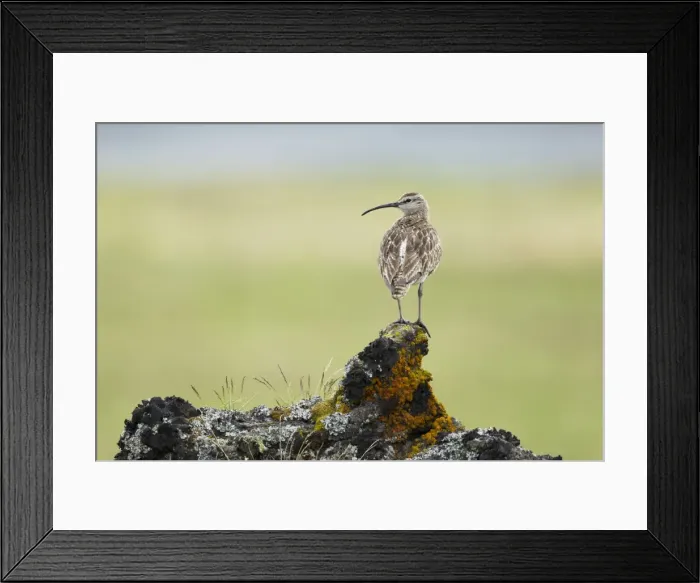 Framed Print : Picture No. 11014698 Framed Print : Picture No. 11014698