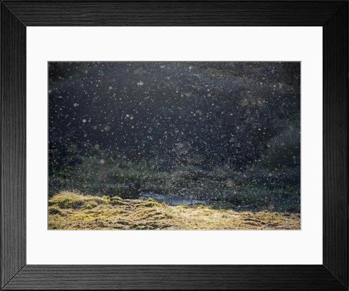 Framed Print : Picture No. 11014702 Framed Print : Picture No. 11014702