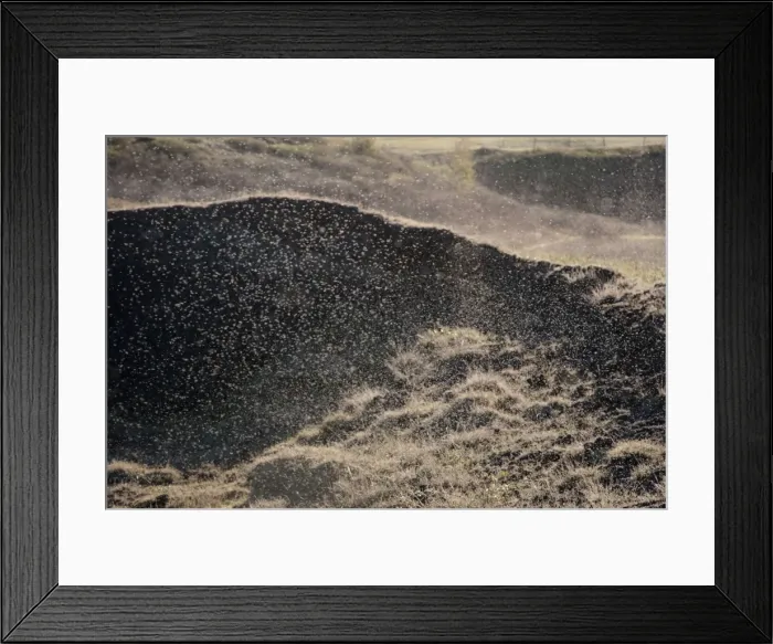 Framed Print : Picture No. 11014703 Framed Print : Picture No. 11014703