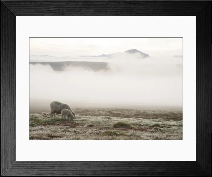 Framed Print : Picture No. 11014713 Framed Print : Picture No. 11014713